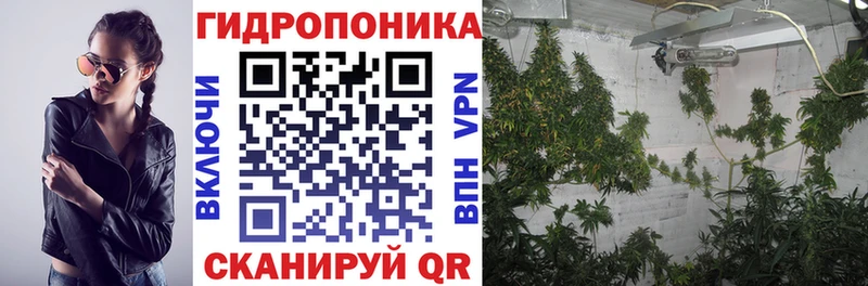 Купить наркотики Озёрск Галлюциногенные грибы  Cocaine  Меф мяу мяу  APVP  Конопля  Гашиш 