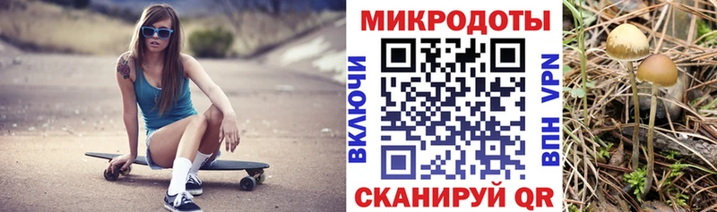 дарнет шоп  Озёрск  Псилоцибиновые грибы прущие грибы 